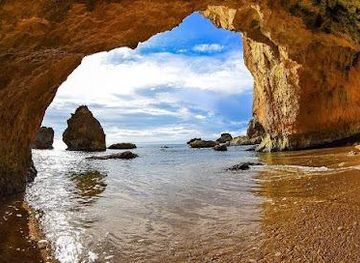 puerto-rico/arecibo/attraction/survival-beach