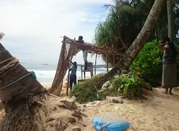 The Palm Rope Swing