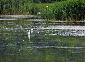 romania/bacau/attraction/lacul-lilieci
