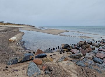 denmark/gedser-odde/attraction/birkemose-strandpark