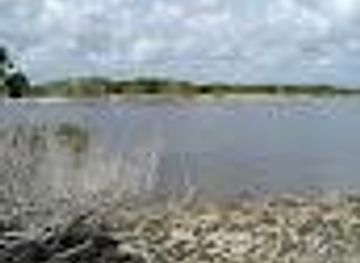 florida/st-augustine/attraction/rattlesnake-island