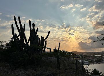curacao/mambo-beach/attraction/barzha-na-zatone