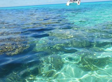 new-caledonia/la-foa/attraction/noumea-turtle-tour