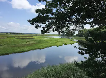 Bombay Hook National Wildlife Refuge