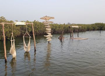 senegal/sine-saloum-delta/attraction/les-aventuriers-du-saloum