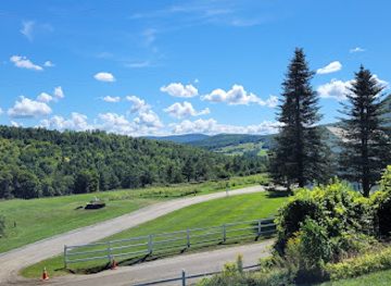 vermont/molly-falls-state-park/attraction/dog-mountain-home-of-stephen-huneck-gallery