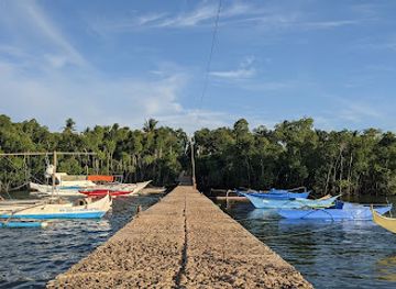philippines/siquijor/attraction/tambisan-port