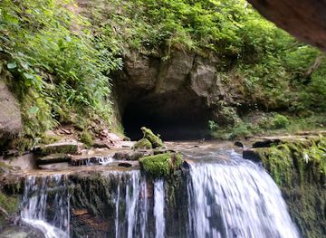 indiana/hoosier-national-forest/attraction/cave-river-valley-natural-area