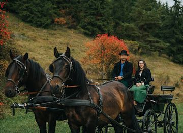 romania/harghita/attraction/transylvanian-horse-adventures