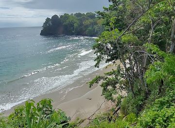 trinidad-and-tobago/asa-wright-nature-centre/attraction/ti-del-mar