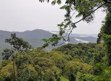 Canopy Walkway