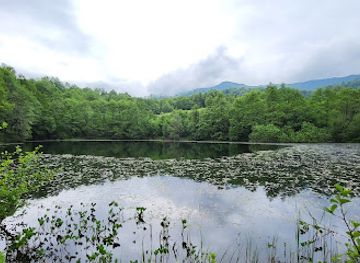 romania/maramures/attraction/lacul-morarenilor