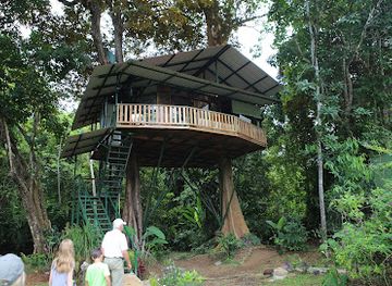 costa-rica/central-pacific/attraction/royal-butterflies