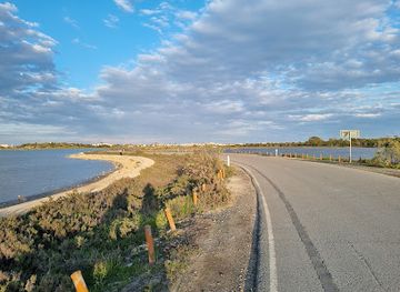 cyprus/larnaca/attraction/flamingos-spot