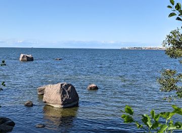 estonia/tallinn/attraction/estonian-open-air-museum