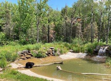 minnesota/superior-national-forest/attraction/north-american-bear-center