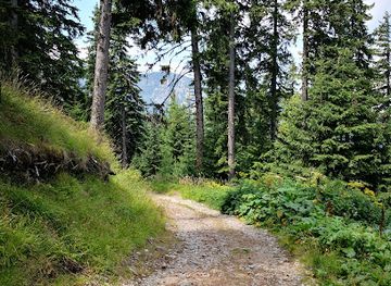 bulgaria/rila-mountains/attraction/hiking-trail-to-tchakur-voyvoda