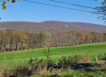 pennsylvania/bald-eagle-state-park/attraction/rhoneymeade