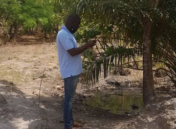 togo/sokode/attraction/futur-parc-promet-kokari