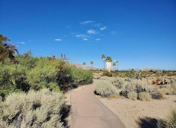 california/joshua-tree/attraction/oasis-of-mara-nature-trail-trailhead