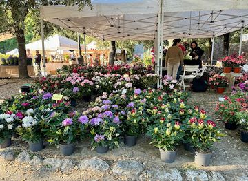 italy/siena/attraction/point-of-view