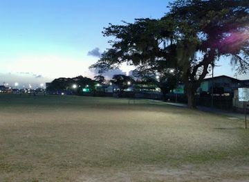 Skinner Park