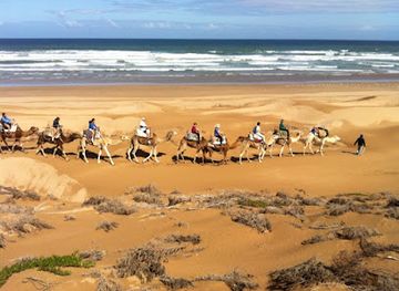morocco/essaouira/attraction/ecotourism-and-hiking