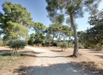 france/marseille/attraction/domaine-de-l-olivette
