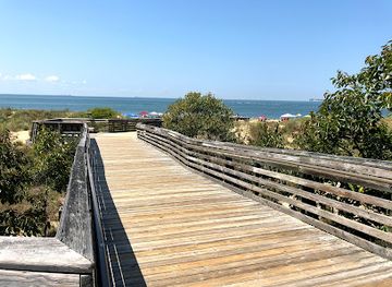 virginia/virginia-beach/attraction/first-landing-state-park