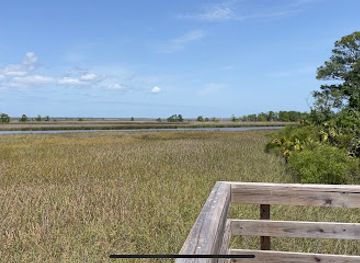 florida/apalachicola/attraction/scipio-creek-boardwalk