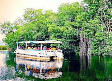 mauritius/black-river/attraction/j-charles-swaby-s-black-river-safari
