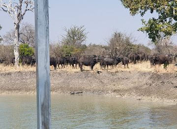 zambia/luangwa-valley/attraction/kafue-national-park