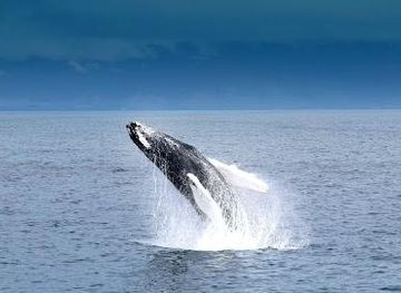 iceland/hafnarfjordur/attraction/special-tours