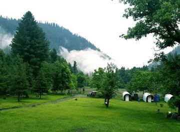 pakistan/kaghan/attraction/sharan-forest-kpk