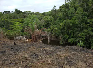 Una Biological Reserve