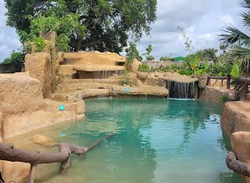 dominican-republic/punta-cana/attraction/evolution-adventure-park