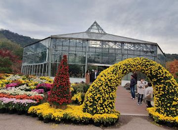 south-korea/daegu/attraction/daegu-arboretum