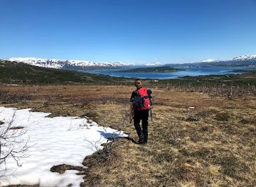 norway/troms/attraction/the-nature-bow-game-tromso-excursions