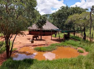 zambia/western-province/attraction/elephant-orphanage-project-game-rangers-international