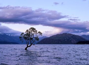 new-zealand/wanaka/attraction/wanaka-station-park