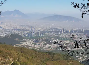 Mesa del Epazote