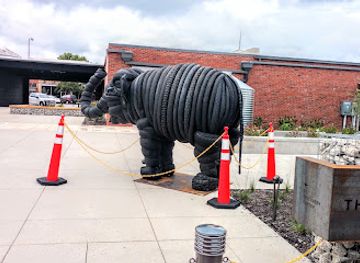 tennessee/west-tennessee/attraction/the-elephant-sanctuary-in-tennessee-elephant-discovery-center