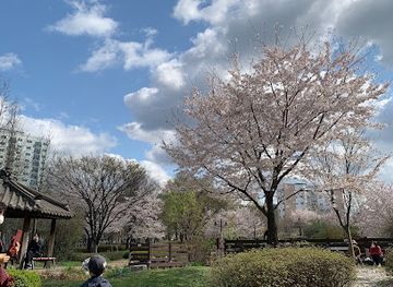 south-korea/incheon/bupyeong/attraction/bupyeong-park