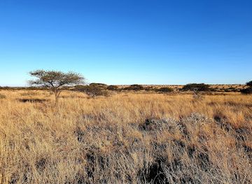 south-africa/north-west/attraction/botsalano-game-reserve