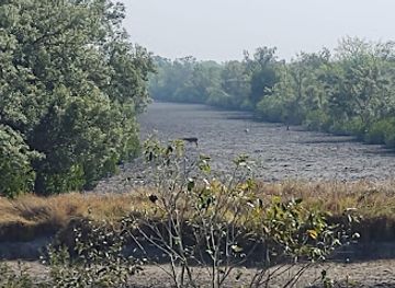 india/sundarbans/attraction/sudhanyakhali-camp-sundarban-tiger-reserve