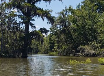 louisiana/atchafalaya-basin/attraction/atchafalaya-basin-backwater-adventure-swamp-tour