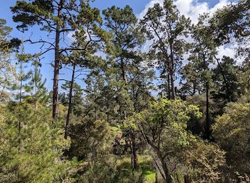 california/monterey/attraction/quarry-park
