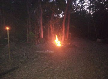 australia/daintree-rainforest/attraction/daintree-wilderness-camp