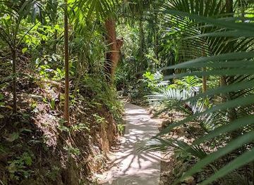 honduras/roatan/attraction/carambola-gardens