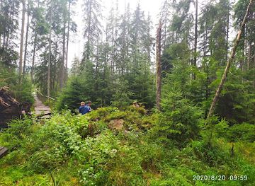 ukraine/hoverla-mountain/attraction/verkhove-boloto-rudyak